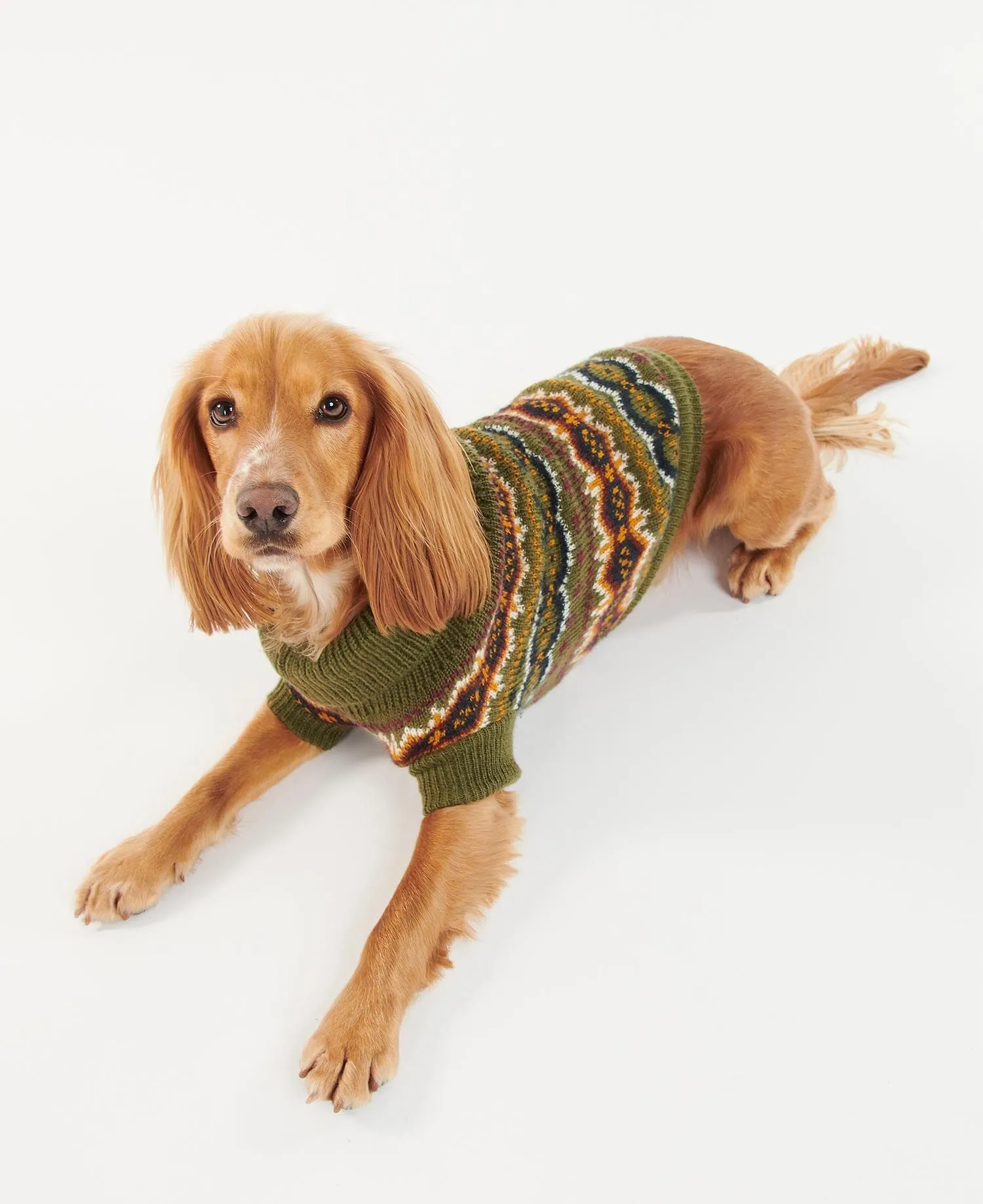 Case Fair Isle Dog Jumper - Olive