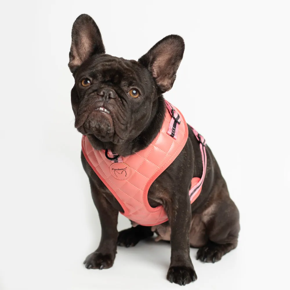 Frenchiestore Neck Adjustable Vegan Leather Health Harness | Coral Varsity