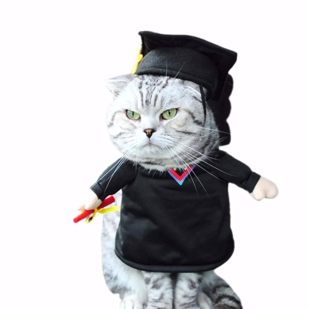 Graduate Pet Costume